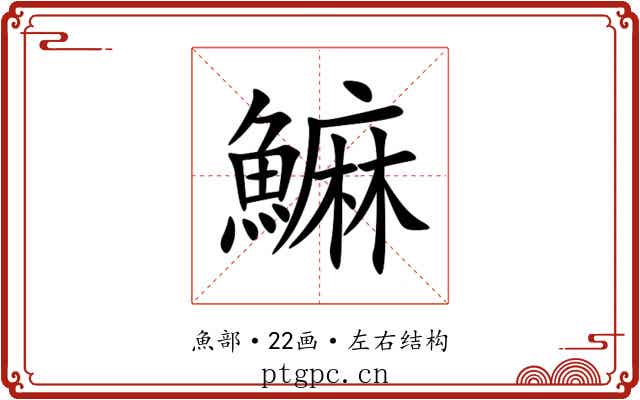 䲈 䲈