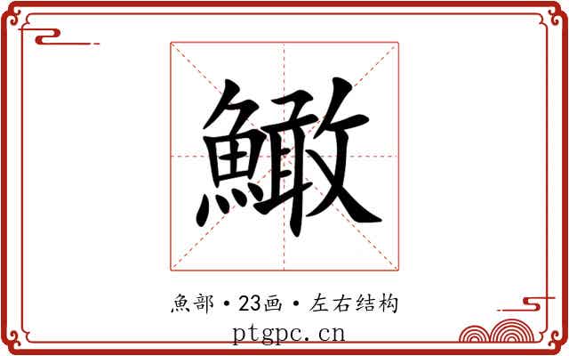 䲎 䲎