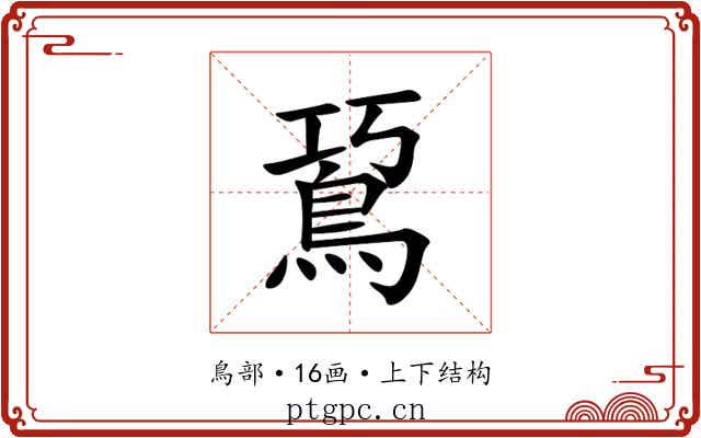䲾