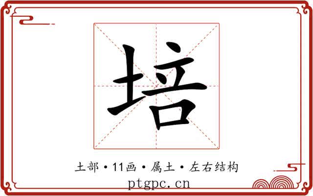 培 培