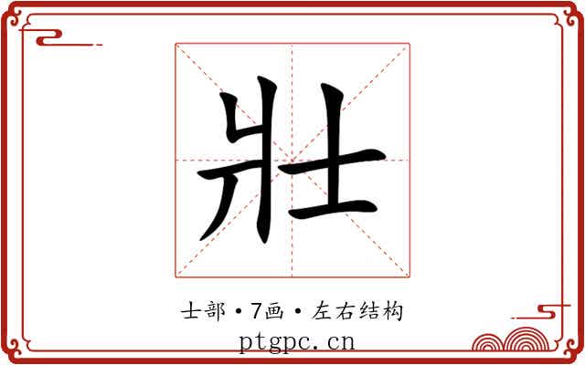 壯 壯