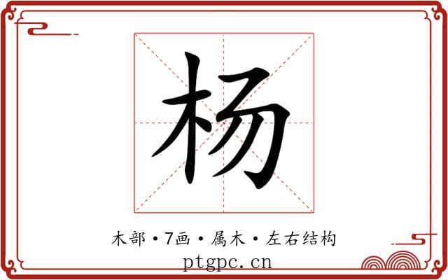 杨 杨