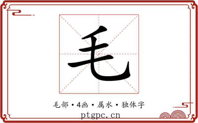 毛 毛