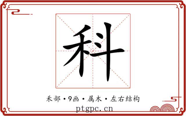 科 科