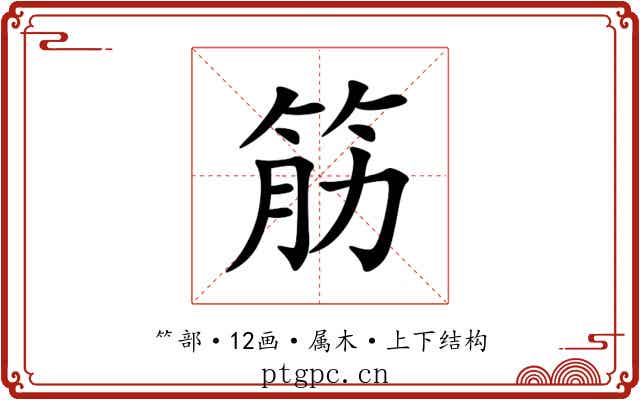 筋 筋