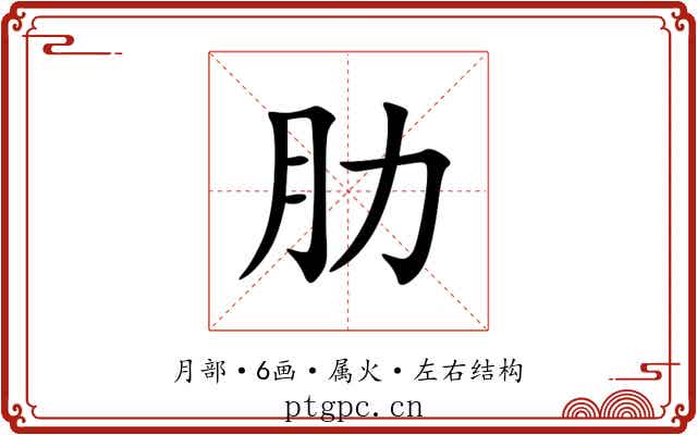 肋 肋
