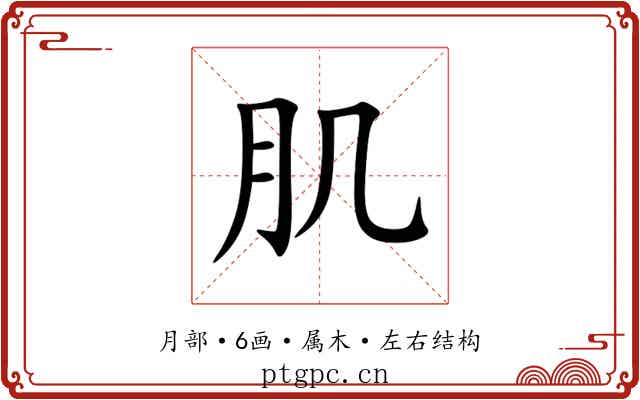肌 肌