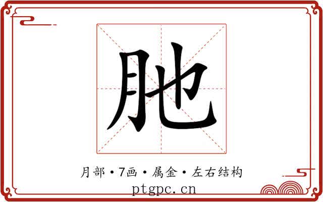 肔 肔