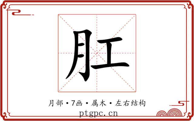 肛 肛