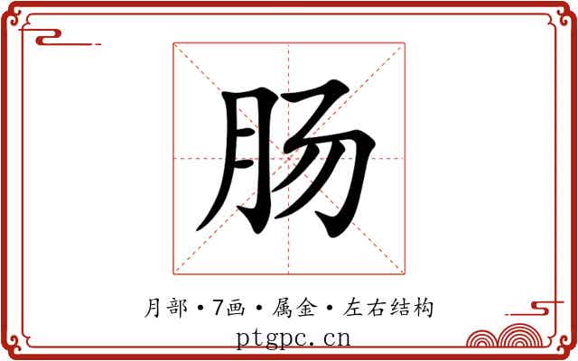 肠 肠