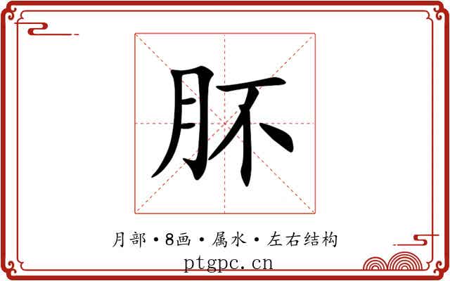 肧 肧