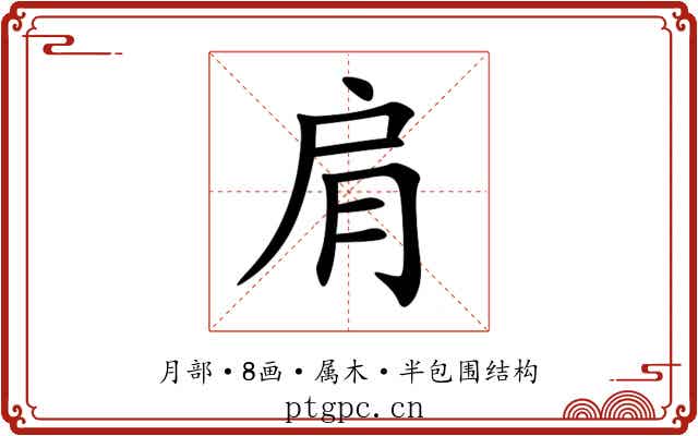 肩 肩