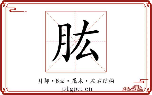 肱 肱