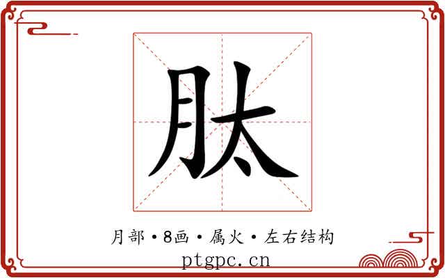 肽 肽