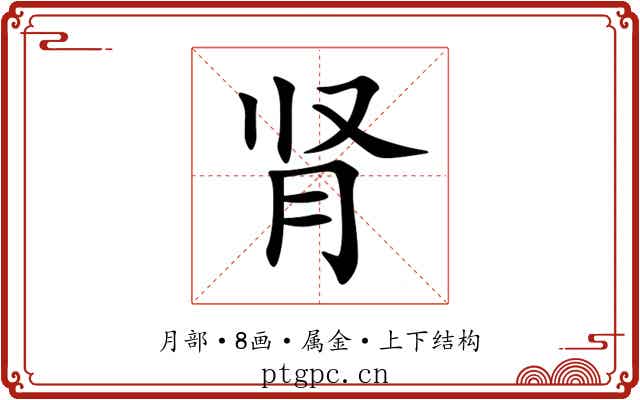 肾 肾