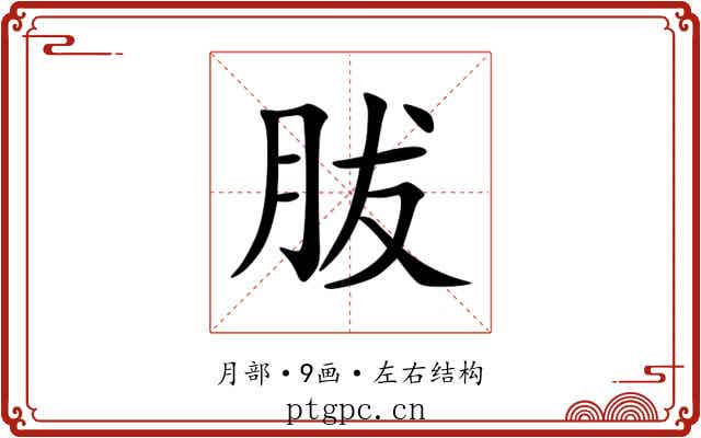 胈 胈