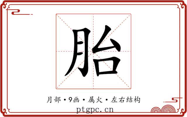 胎