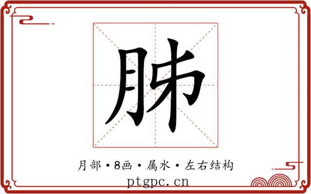胏 胏