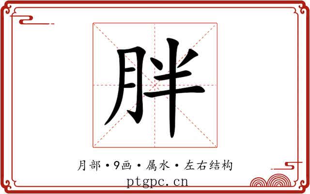胖 胖