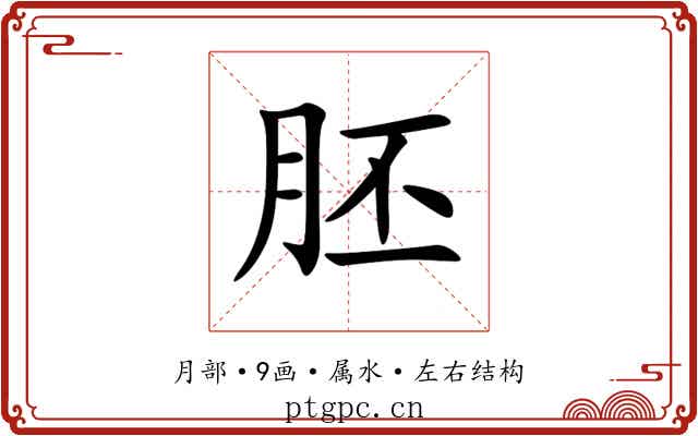 胚