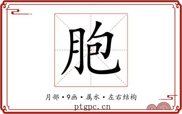 胞 胞
