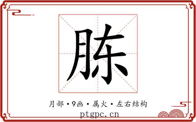 胨 胨