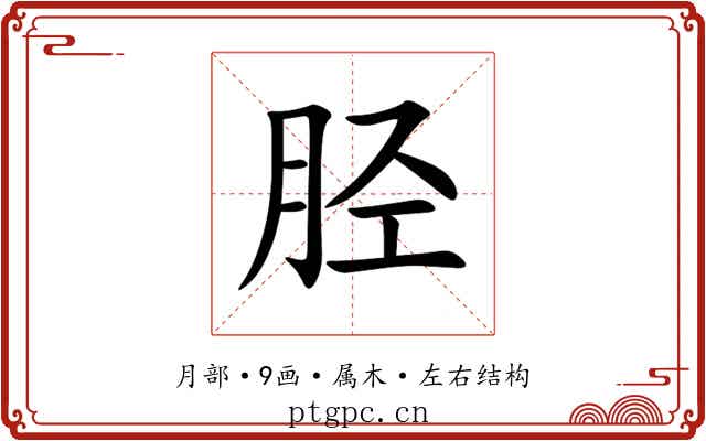 胫 胫