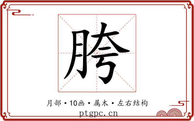 胯 胯