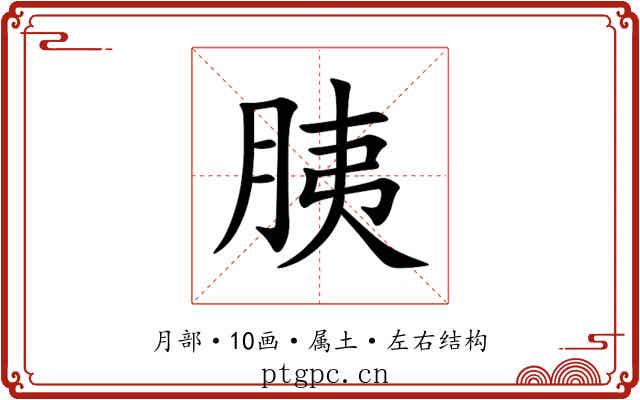 胰 胰
