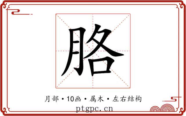胳 胳
