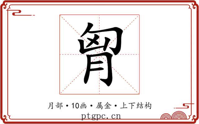 胷 胷