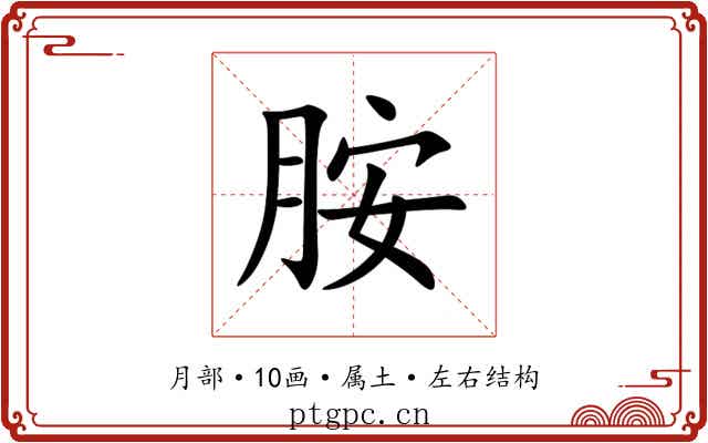 胺 胺