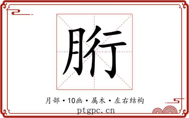 胻 胻