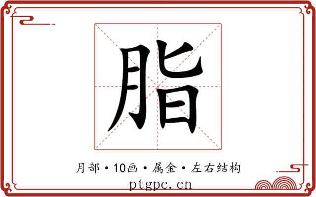 脂 脂