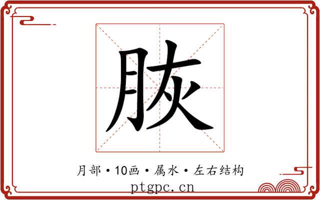 脄 脄