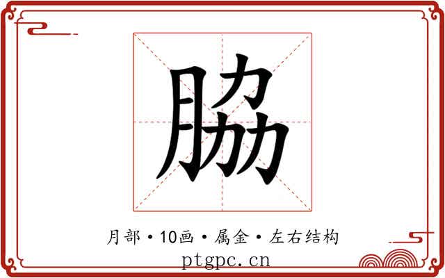 脇 脇