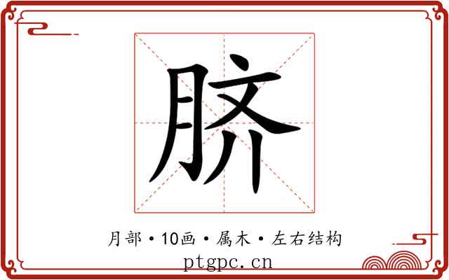 脐 脐