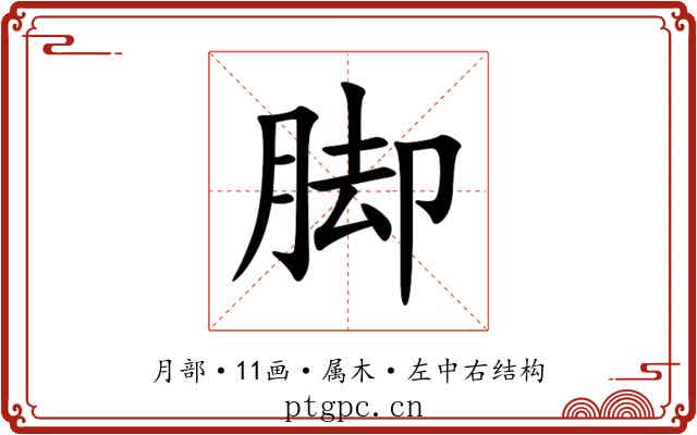脚