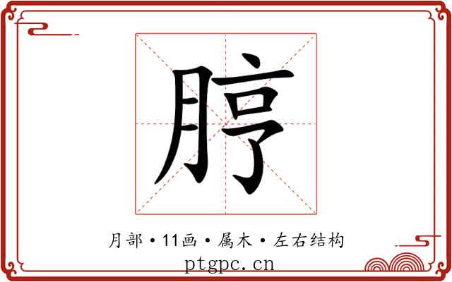 脝 脝