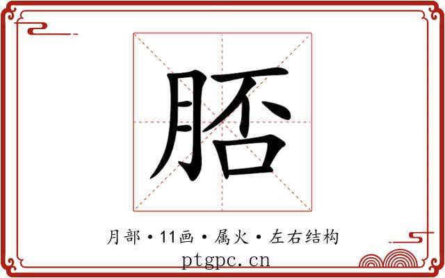 脴
