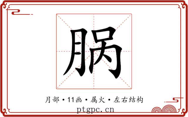 脶 脶