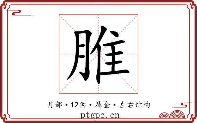 脽 脽