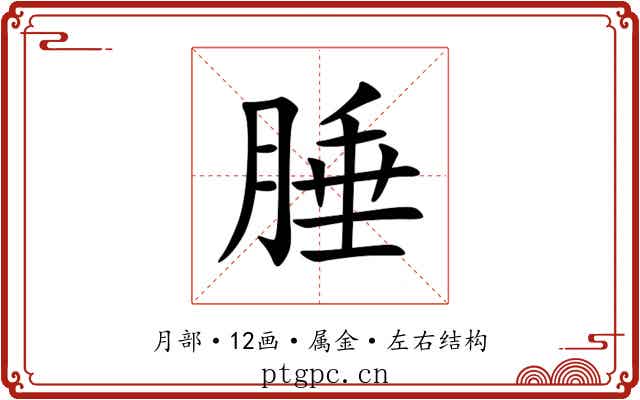 腄 腄