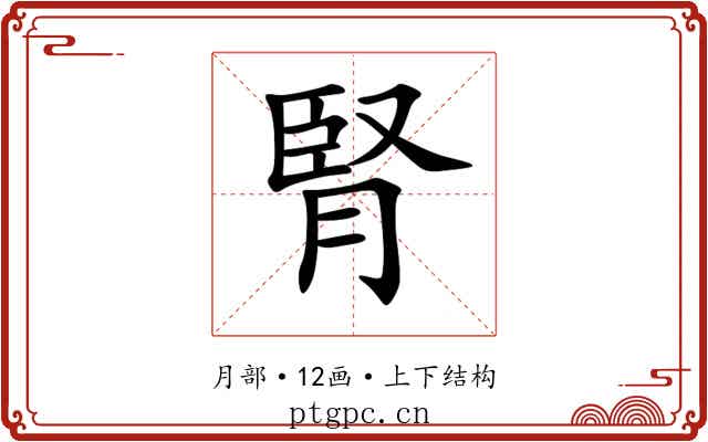 腎 腎