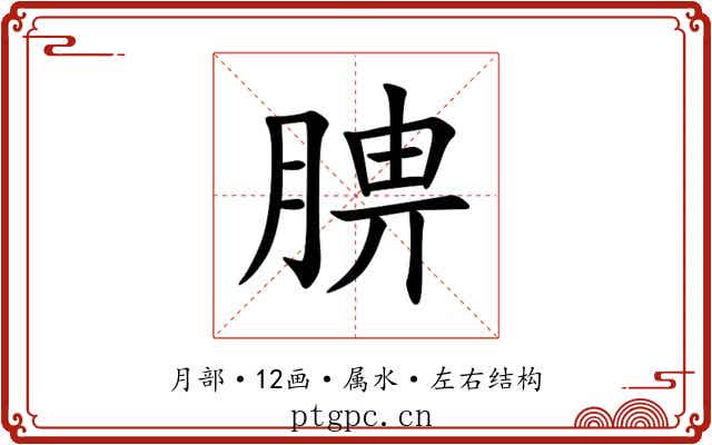 腗 腗