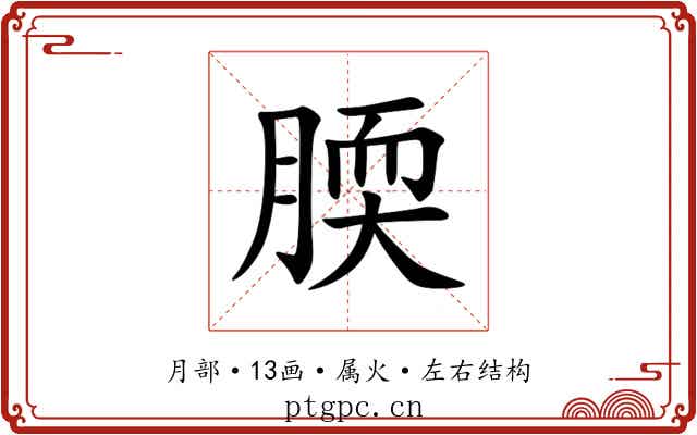 腝
