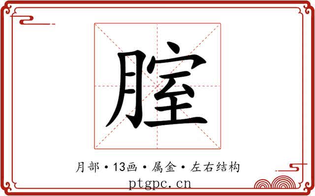腟