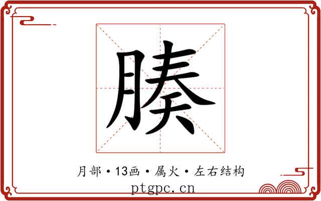 腠 腠