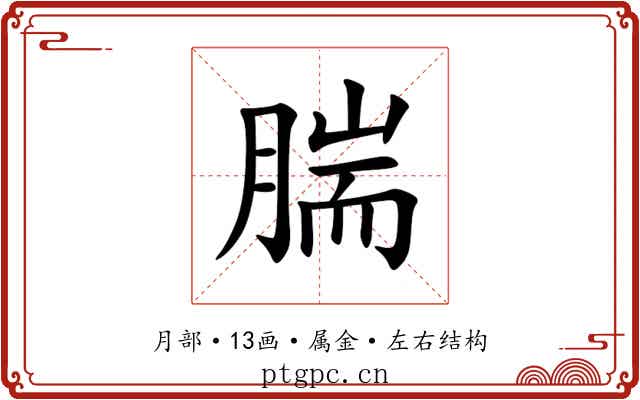 腨 腨