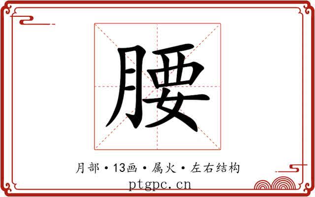 腰 腰